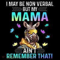 I May Be Non Verbal But My Mama Aint Remember That Giraffe Toddler Fine Jersey T-Shirt