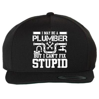 I May Be A Plumber But Even I Can't Fix Stupid Wool Snapback Cap