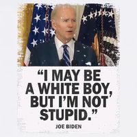 I May Be A White Boy But I'm Not Stupid Biden Garment-Dyed Sweatshirt