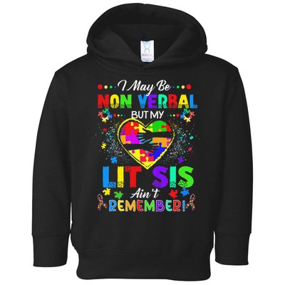 I May Be Non Verbal But My Lit Sis Aint Remember Autism Toddler Hoodie