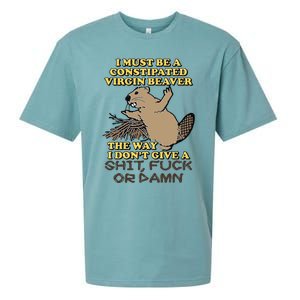 I Must Be Constipated Virgin Beaver The Way I Dont Give A Shit Fuck Or Damn Sueded Cloud Jersey T-Shirt