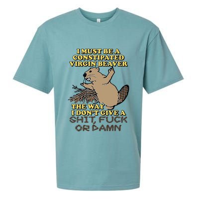I Must Be Constipated Virgin Beaver The Way I Dont Give A Shit Fuck Or Damn Sueded Cloud Jersey T-Shirt