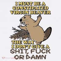 I Must Be Constipated Virgin Beaver The Way I Dont Give A Shit Fuck Or Damn Adult Drive Performance Visor