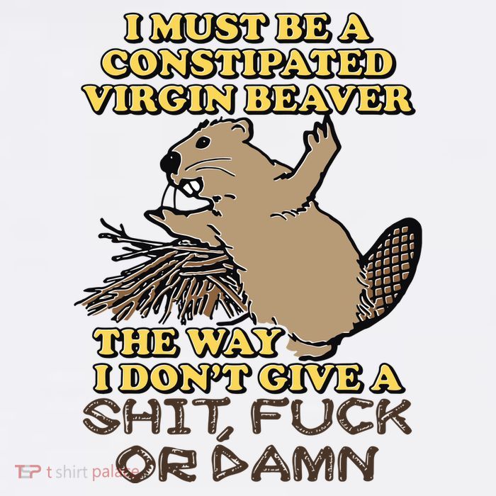 I Must Be Constipated Virgin Beaver The Way I Dont Give A Shit Fuck Or Damn Beanie