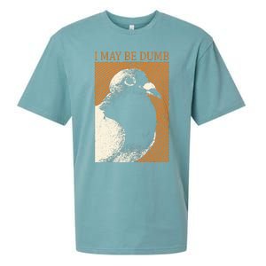 I May Be Dumb Pigeon I May Be Dumb Pigeon Sueded Cloud Jersey T-Shirt