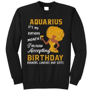 It’s My Birthday Black Wo Aquarius February Gifts Sweatshirt