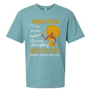 It’s My Birthday Black Wo Aquarius February Gifts Sueded Cloud Jersey T-Shirt