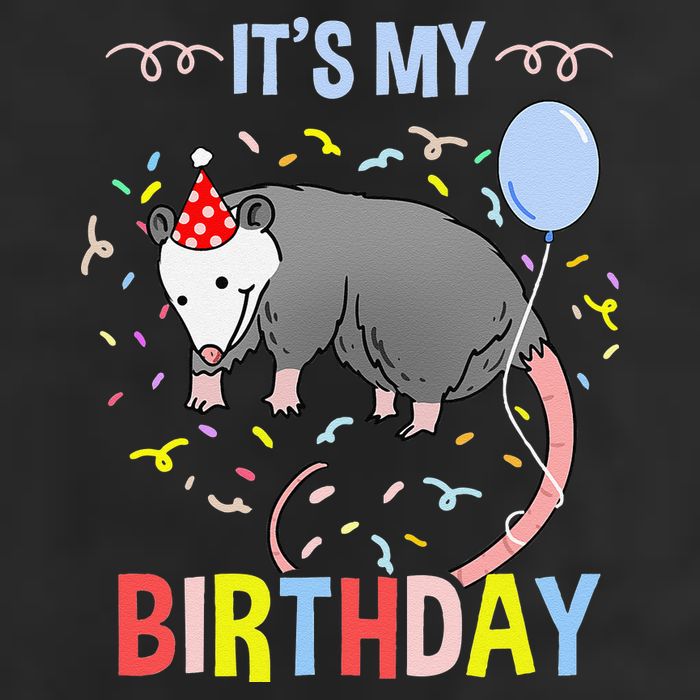 Its My Birthday Opossum 11oz C Handle Ceramic Mug