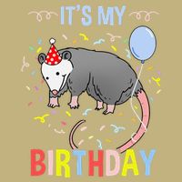 Its My Birthday Opossum T-Shirt