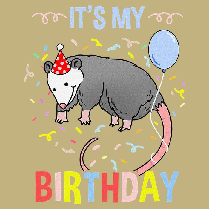 Its My Birthday Opossum T-Shirt
