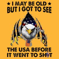 I May Be Old But I Got To See The Usa Before It Went To Shit Pom Pom 12in Knit Beanie