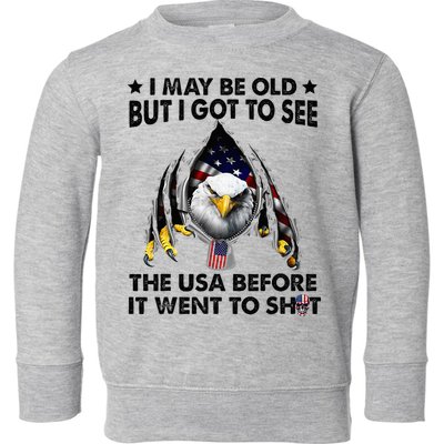 I May Be Old But I Got To See The Usa Before It Went To Shit Toddler Sweatshirt