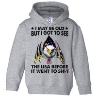 I May Be Old But I Got To See The Usa Before It Went To Shit Toddler Hoodie