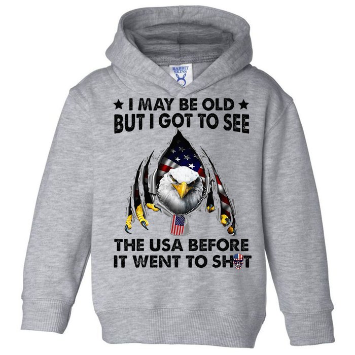 I May Be Old But I Got To See The Usa Before It Went To Shit Toddler Hoodie