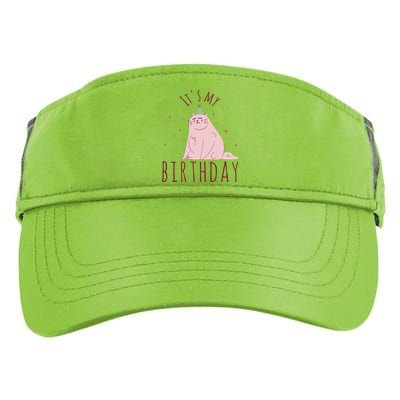 It's My Birthday Cat Adult Drive Performance Visor