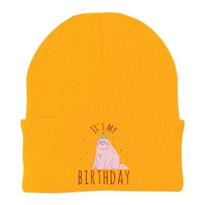 It's My Birthday Cat Knit Cap Winter Beanie