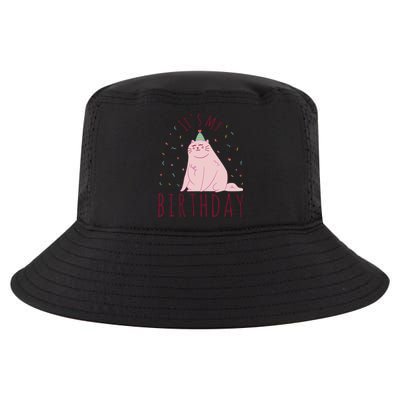 It's My Birthday Cat Cool Comfort Performance Bucket Hat