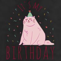 It's My Birthday Cat Cool Comfort Performance Bucket Hat