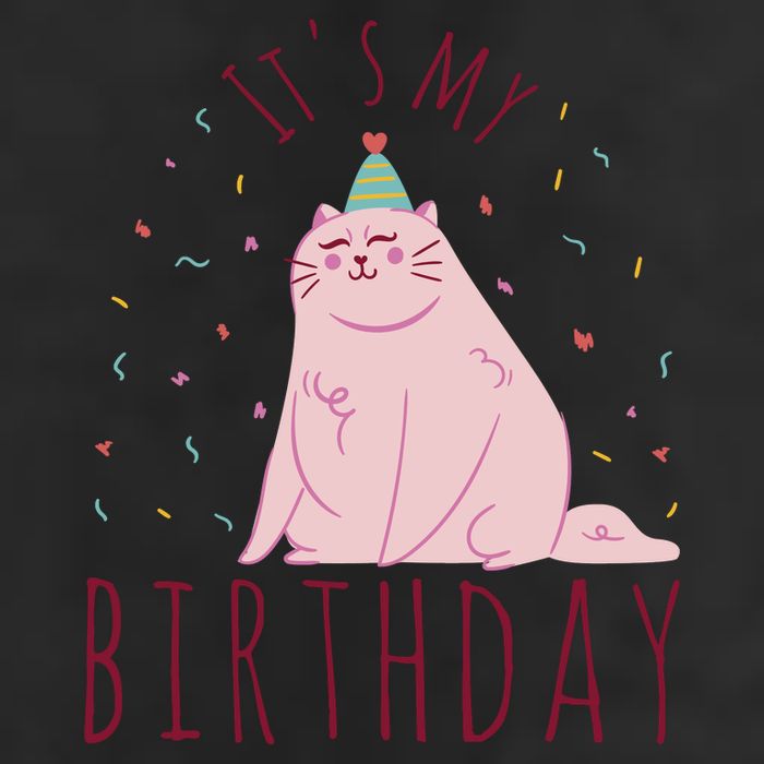 It's My Birthday Cat Cool Comfort Performance Bucket Hat