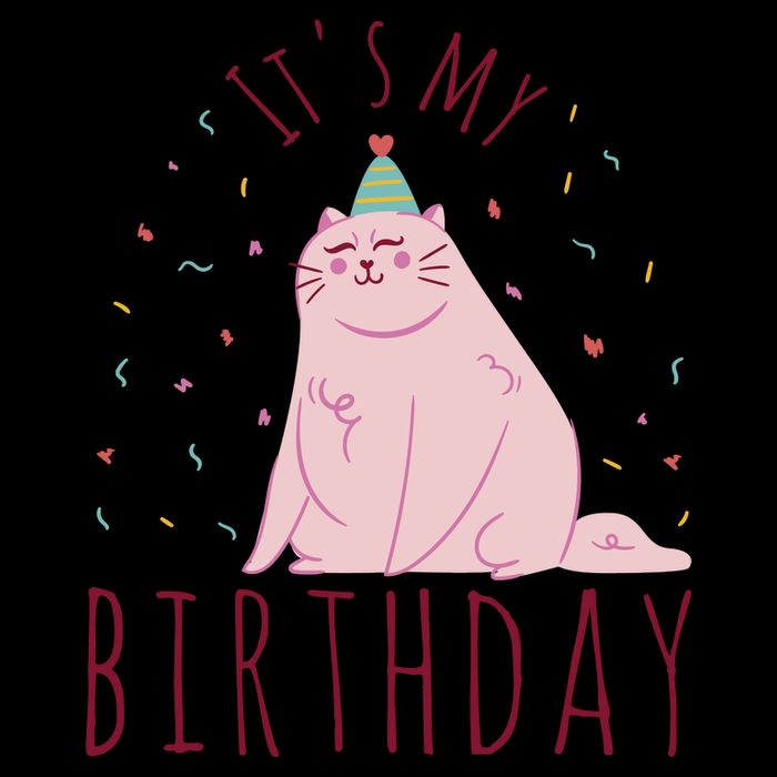 It's My Birthday Cat Sweatshirt