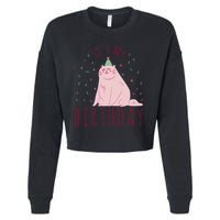 It's My Birthday Cat Cropped Pullover Crew
