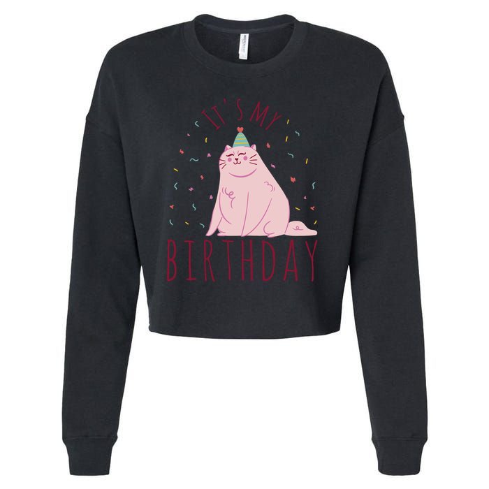 It's My Birthday Cat Cropped Pullover Crew