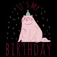 It's My Birthday Cat Cropped Pullover Crew