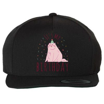 It's My Birthday Cat Wool Snapback Cap