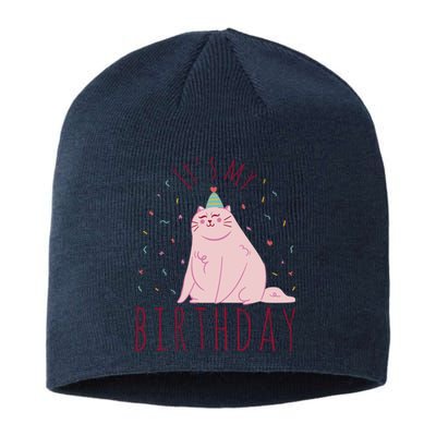 It's My Birthday Cat Sustainable Beanie