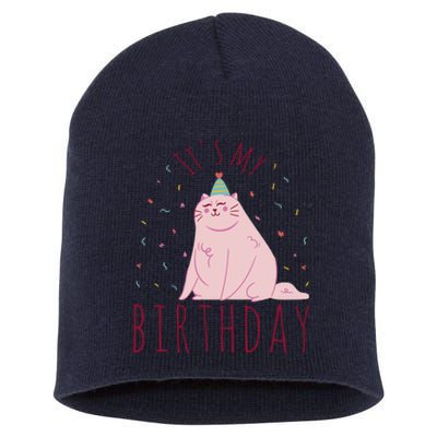 It's My Birthday Cat Short Acrylic Beanie