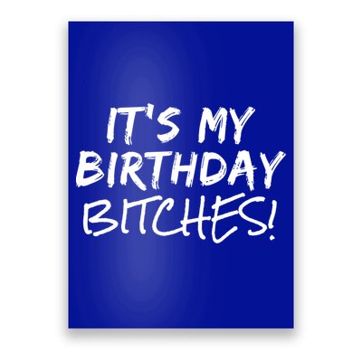 It's My Birthday Bitches Funny Birthday Gift Poster