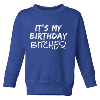 It's My Birthday Bitches Funny Birthday Gift Toddler Sweatshirt