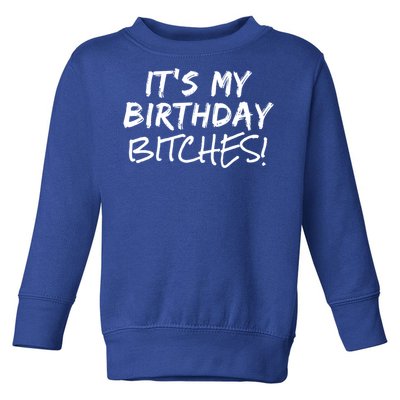 It's My Birthday Bitches Funny Birthday Gift Toddler Sweatshirt