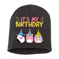 It's My Birthday Boo Cute Short Acrylic Beanie