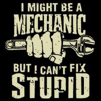 I Might Be A Mechanic But I CanT Fix Stupid Flat Bill Trucker Hat