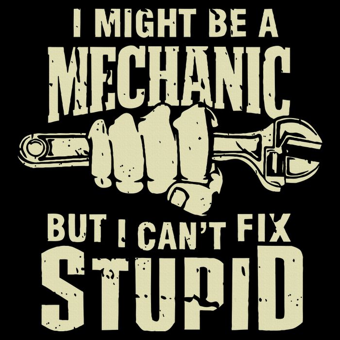 I Might Be A Mechanic But I CanT Fix Stupid Flat Bill Trucker Hat