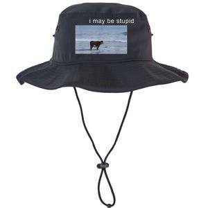 I May Be Stupid Cow Meme I May Be Stupid Funny Legacy Cool Fit Booney Bucket Hat