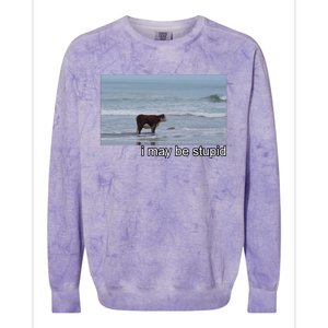 I May Be Stupid Funny Colorblast Crewneck Sweatshirt