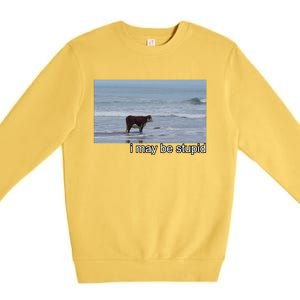 I May Be Stupid Funny Premium Crewneck Sweatshirt