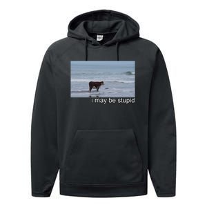 I May Be Stupid Funny Performance Fleece Hoodie