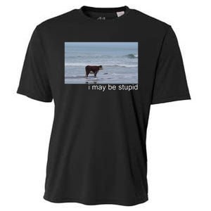 I May Be Stupid Funny Cooling Performance Crew T-Shirt