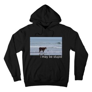 I May Be Stupid Funny Hoodie