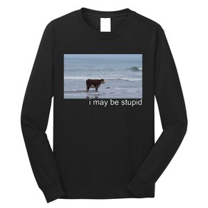 I May Be Stupid Funny Long Sleeve Shirt