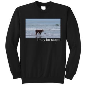 I May Be Stupid Funny Sweatshirt