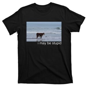 I May Be Stupid Funny T-Shirt