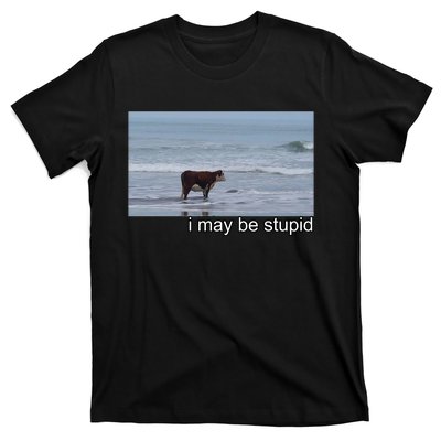 I May Be Stupid Funny T-Shirt