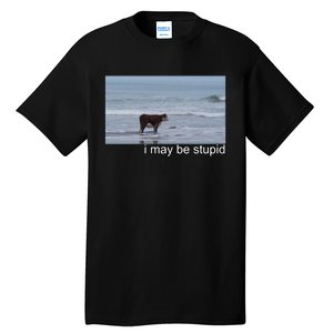 I May Be Stupid Funny Tall T-Shirt