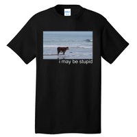 I May Be Stupid Funny Tall T-Shirt