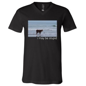 I May Be Stupid Funny V-Neck T-Shirt