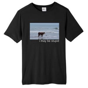 I May Be Stupid Funny Tall Fusion ChromaSoft Performance T-Shirt